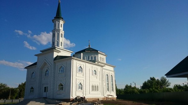 Купить Шины В Славгороде Алтайский